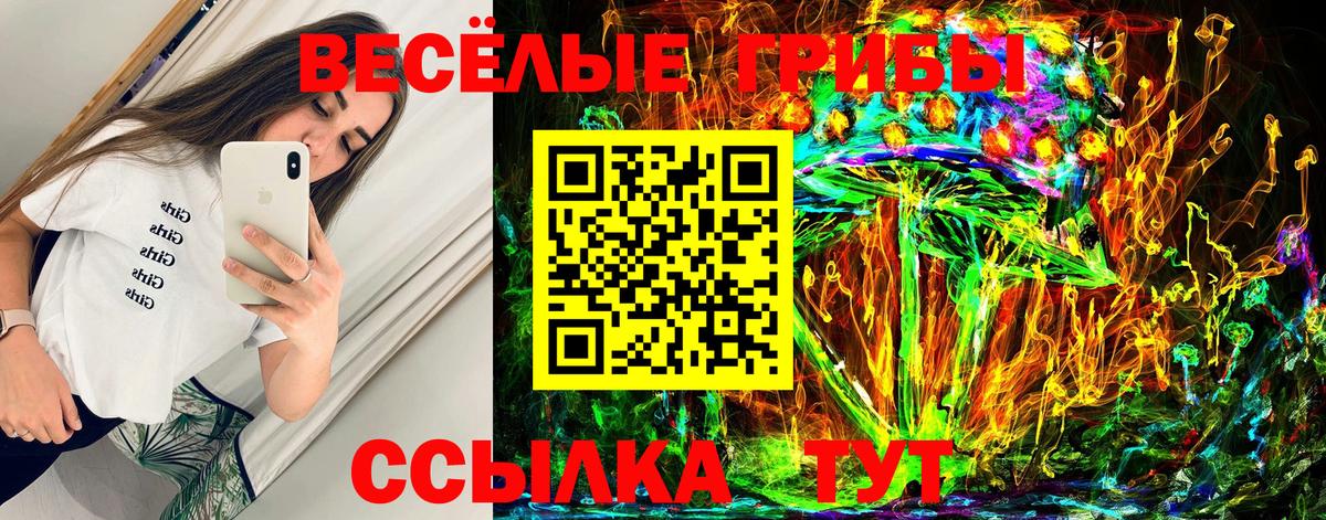 Псилоцибиновые грибы Psilocybine cubensis  Псилоцибиновые грибы GOLDEN TEACHER  что такое наркотик  Вход с VPN  Луховицы 